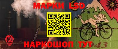 спайс Коммунар