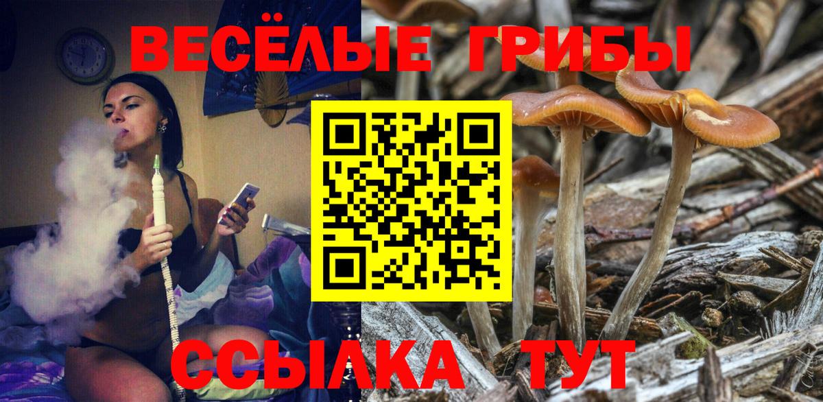 Псилоцибиновые грибы Cubensis  Вход с VPN  Славгород  Псилоцибиновые грибы прущие грибы 